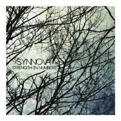 Synnova : Strength in Numbers